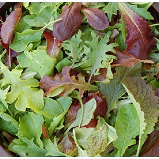 Mild Mesclun Mix Lettuce Seeds